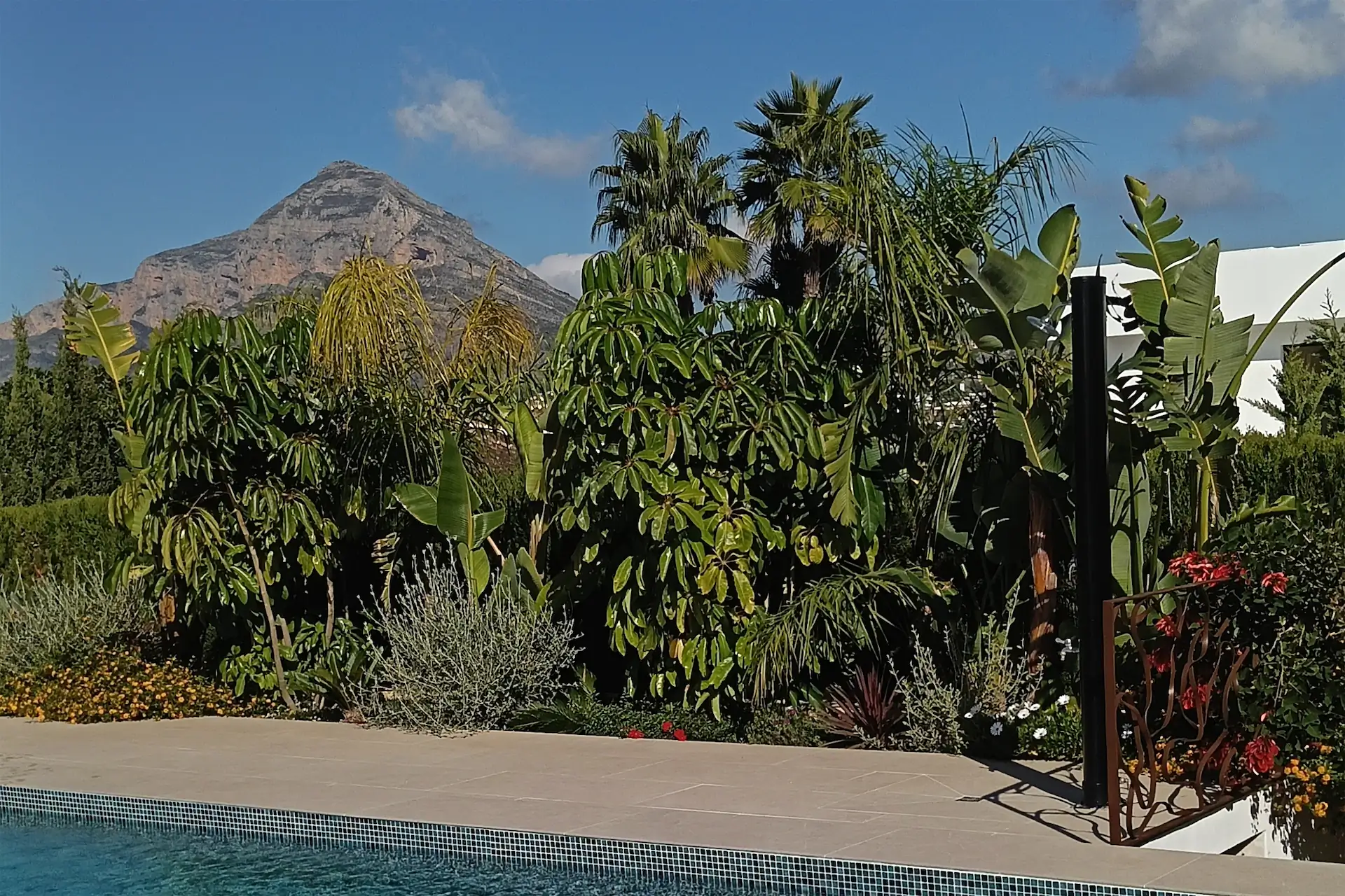 Jardín tropical junto a una piscina, con la montaña al fondo