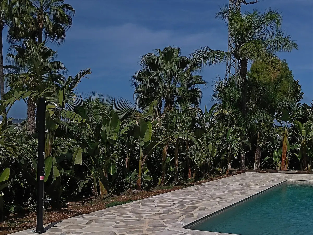 El mismo jardín en octubre: suelo de piedra alrededor de la piscina y palmeras con plantas tropicales