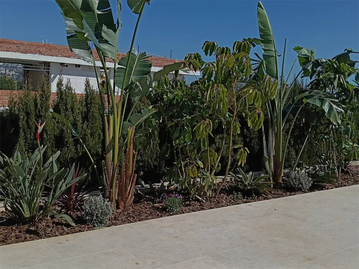 Arriate de plantas tropicales y mediterráneas con corteza de pino, junto a un paseo de piedra clara