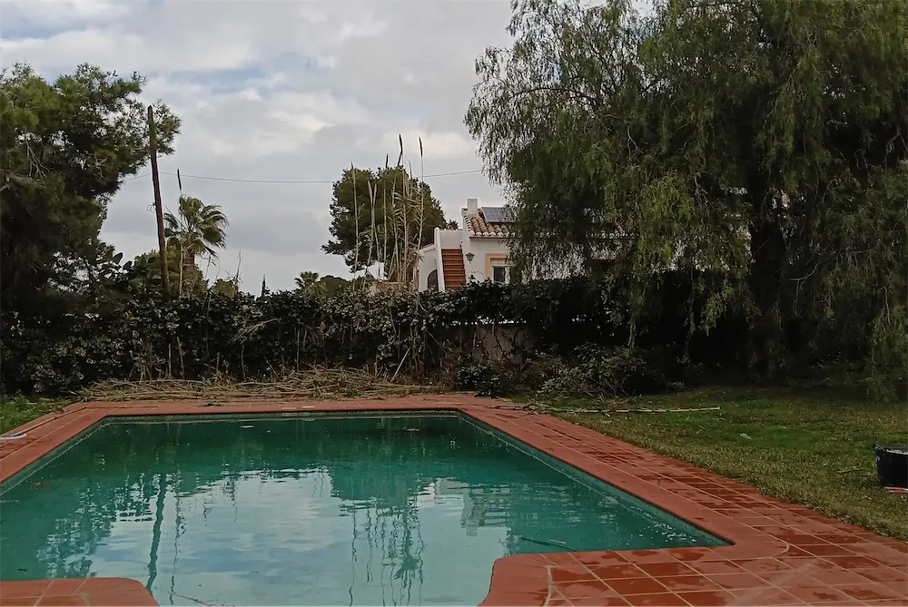 Césped verde alrededor de una piscina, recién segado