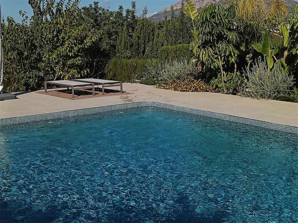Piscina de agua limpia rodeada de jardín