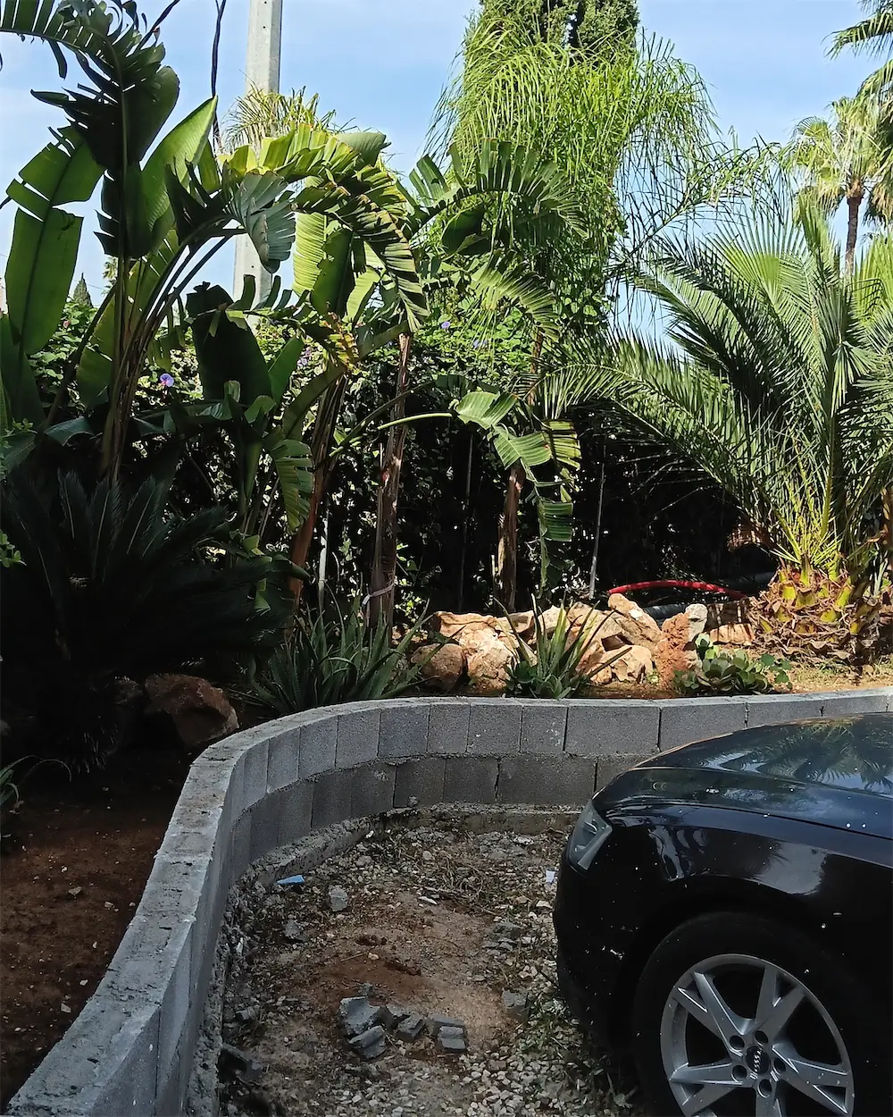 Jardín tropical de hoja grande junto a una piscina